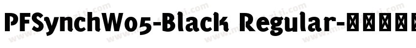 PFSynchW05-Black Regular字体转换